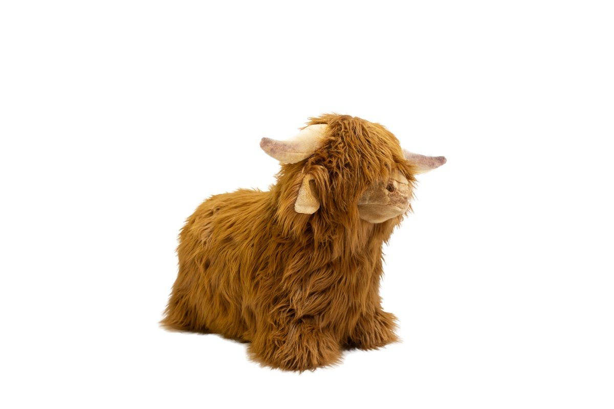 Wild & Soft Bouncy Highland Cow