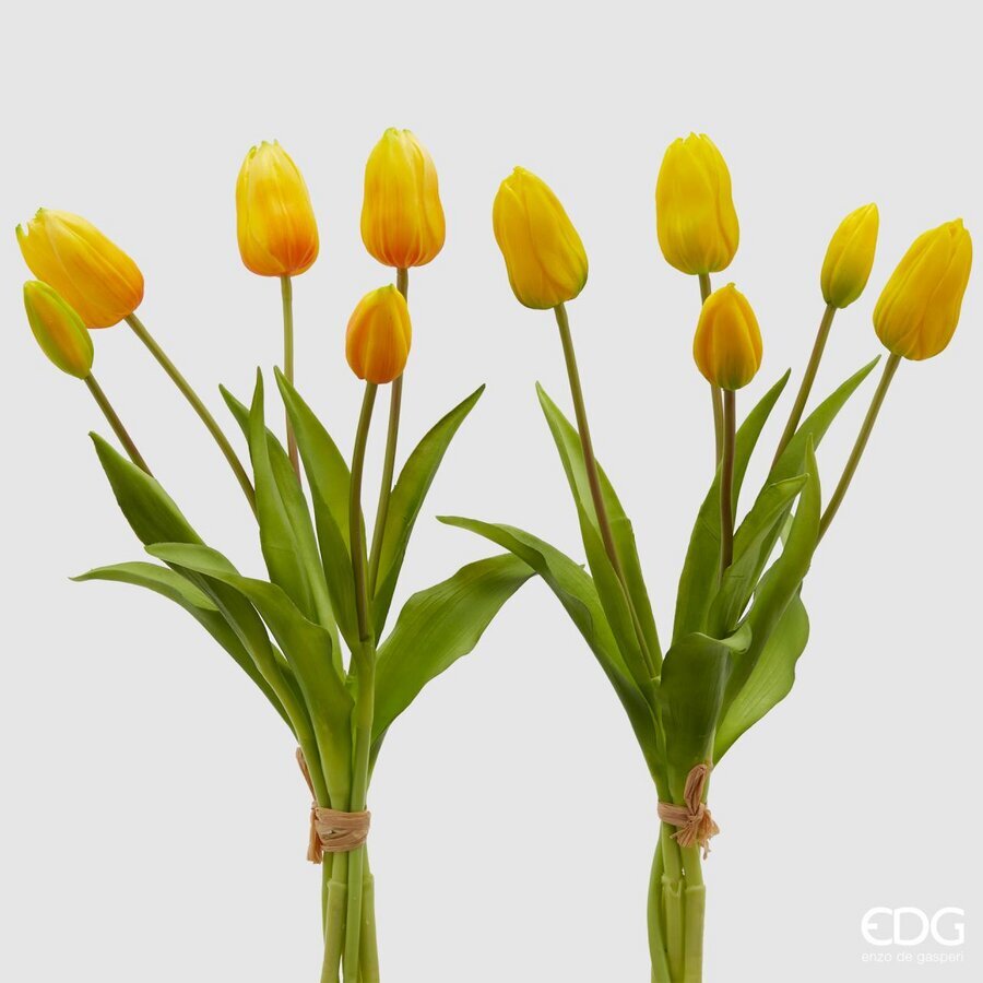EDG Bundel Tulpen Geel 40cm - assorti - per bundel