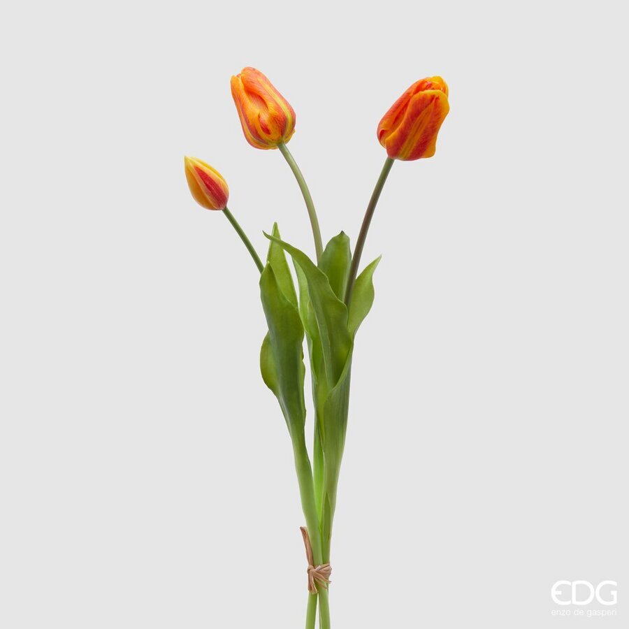 EDG Bundel Tulpen Oranje 48cm