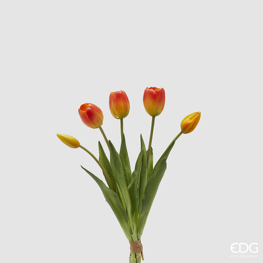 EDG Bundel Tulpen Oranjerood 40cm